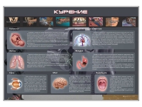 Стенд "Курение" (вариант 1) - «globural.ru» - Первоуральск