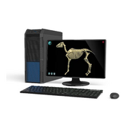 Макет масштабный «Скелет Лошади» Масштаб 1:2 - «globural.ru» - Первоуральск