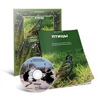Электронное наглядное пособие «Птицы» - «globural.ru» - Первоуральск