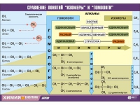Таблица демонстрационная "Сравнение понятий изомер и гомолог" (винил 100х140) - «globural.ru» - Первоуральск