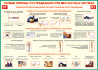  Таблица Общий порядок оказания первой помощи пострадавшим 1000*1400 винил	 - «globural.ru» - Первоуральск