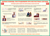 Таблица Порядок действий при переломах конечностей 1000*1400 винил - «globural.ru» - Первоуральск