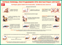 Таблица Порядок действий при ранениях и термических ожогах	 1000*1400 винил - «globural.ru» - Первоуральск