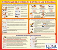 Стенд "Первая доврачебная неотложная помощь" - «globural.ru» - Первоуральск