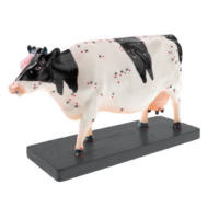 Электрифицированный макет коровы на каркасе - «globural.ru» - Первоуральск