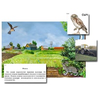 Магнитный плакат-аппликация "Поле: биоразнообразие и взаимосвязи в сообществе" - «globural.ru» - Первоуральск
