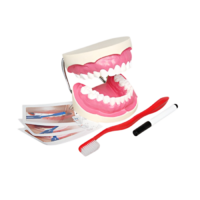 Игровой комплект "Чистим зубы" - «globural.ru» - Первоуральск