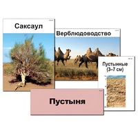 Модель-аппликация "Природные зоны России" - «globural.ru» - Первоуральск