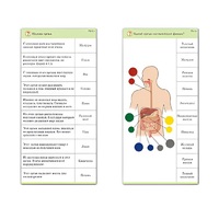 Комплект карточек (10) "Обучающий калейдоскоп. Человек" - «globural.ru» - Первоуральск