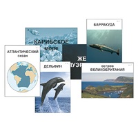 Модель-аппликация "Океаны. Знакомство" (ламинированная) - «globural.ru» - Первоуральск