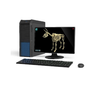 Макет масштабный «Скелет Коровы» Масштаб 1:2 - «globural.ru» - Первоуральск