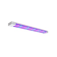 Фитолампа - «globural.ru» - Первоуральск