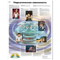 Плакат "Наркотическая зависимость", ламинированный, 50*67 см - «globural.ru» - Первоуральск