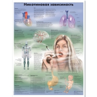Плакат "Никотиновая зависимость", ламинированный, 50*67 см - «globural.ru» - Первоуральск