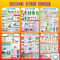 Стенд "Оказание первой помощи" - «globural.ru» - Первоуральск