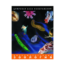 Зоология. Микрофотографии. (Цифровая база изображений) - «globural.ru» - Первоуральск