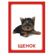 Логопедка "Щ, Х" (логопедические карточки) - «globural.ru» - Первоуральск