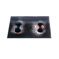 Набор «Эксперименты с магнитным полем» - «globural.ru» - Первоуральск