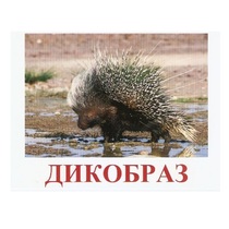 Карточки Домана "Дикие животные-3" - «globural.ru» - Первоуральск