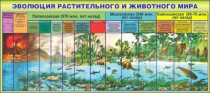 Стенд "Эволюция растительного и животного мира" - «globural.ru» - Первоуральск