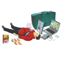 "Максим В/Р" Тренажёр сердечно-лёгочной и мозговой реанимации взрослого и ребёнка с обучающей компьютерной анимационной программой - «globural.ru» - Первоуральск