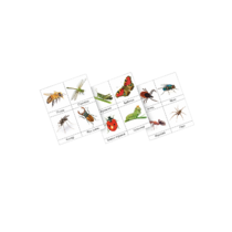 Фланелеграф "Насекомые" - «globural.ru» - Первоуральск