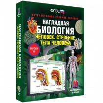 Наглядная биология. Человек. Строение тела человека - «globural.ru» - Первоуральск