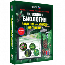 Наглядная биология. Растение - живой организм - «globural.ru» - Первоуральск