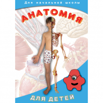 DVD  Анатомия для детей - «globural.ru» - Первоуральск