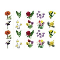 Комплект карточек. Серия наглядных пособий "Запоминай, играй, считай". Цветы. - «globural.ru» - Первоуральск