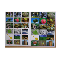 Английское лото "На прогулке" - «globural.ru» - Первоуральск