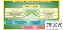 Стенд "Методы селекции и биотехнологии" - «globural.ru» - Первоуральск