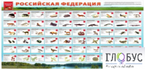 Стенд "Красная книга РФ" - «globural.ru» - Первоуральск