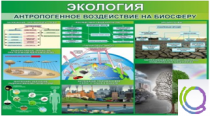 Стенд "Экология. Антропогенное воздействие на биосферу" - «globural.ru» - Первоуральск