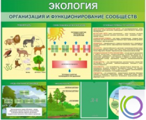 Стенд "Экология. Организация и функционирование сообществ" - «globural.ru» - Первоуральск