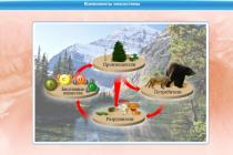 Интерактивные курсы. Биология 7 класс. Базовый - «globural.ru» - Первоуральск