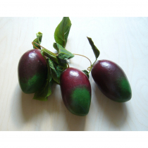 Муляж "Ветка манго" - «globural.ru» - Первоуральск