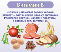 Стенд "Витамин В" - «globural.ru» - Первоуральск