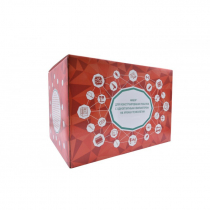 Набор для конструирования роботов с одноплатным компьютером на уроках технологии - «globural.ru» - Первоуральск