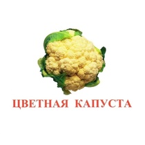Карточки Домана "Овощи-Зелень-2" - «globural.ru» - Первоуральск