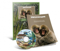 Электронное наглядное пособие «Эволюция» - «globural.ru» - Первоуральск