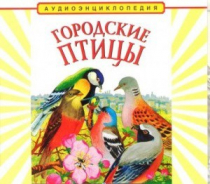 CD "Аудиоэнциклопедия. Городские птицы" - «globural.ru» - Первоуральск