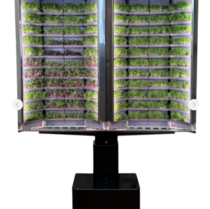 Вертикальная  ферма «Моя микрозелень» комплектация  «Театро настенная» - «globural.ru» - Первоуральск