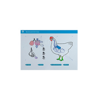 Стенд-планшет светодинамический "Изучение органов дыхания сельскохозяйственных животных" со сменными панелями - «globural.ru» - Первоуральск