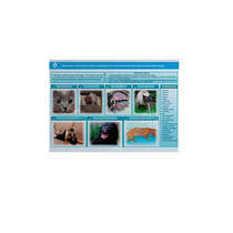 Стенд-планшет светодинамический «Острые отравления животных лекарственными препаратами» - «globural.ru» - Первоуральск