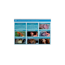 Стенд-планшет светодинамический "Изучение типических патологических процессов в организмах животных" - «globural.ru» - Первоуральск
