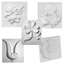 Комплект гипсовых моделей растений  - «globural.ru» - Первоуральск