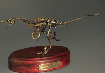 Модель скелета динозавра Velociraptor - «globural.ru» - Первоуральск