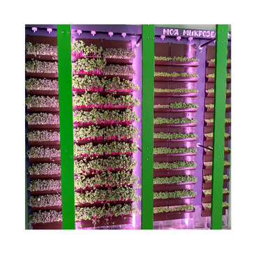 Вертикальная ферма "Моя Микрозелень" комплектация Школьная - «globural.ru» - Первоуральск
