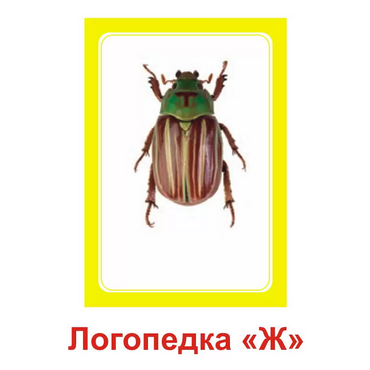 Логопедка "Ж" (логопедические карточки) - «globural.ru» - Первоуральск